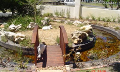 Landscapers Cape Town | Garden Irrigation | Grass Laying