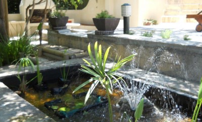 Landscapers Cape Town | Garden Irrigation | Grass Laying